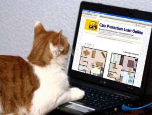cats pro learn online