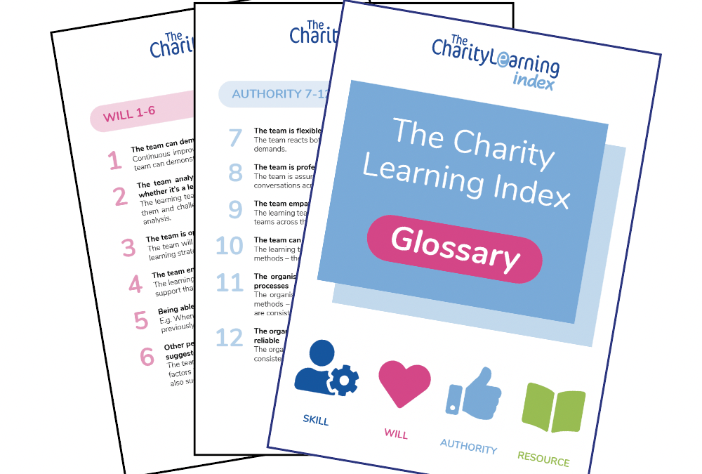 Launching the Charity Learning Index