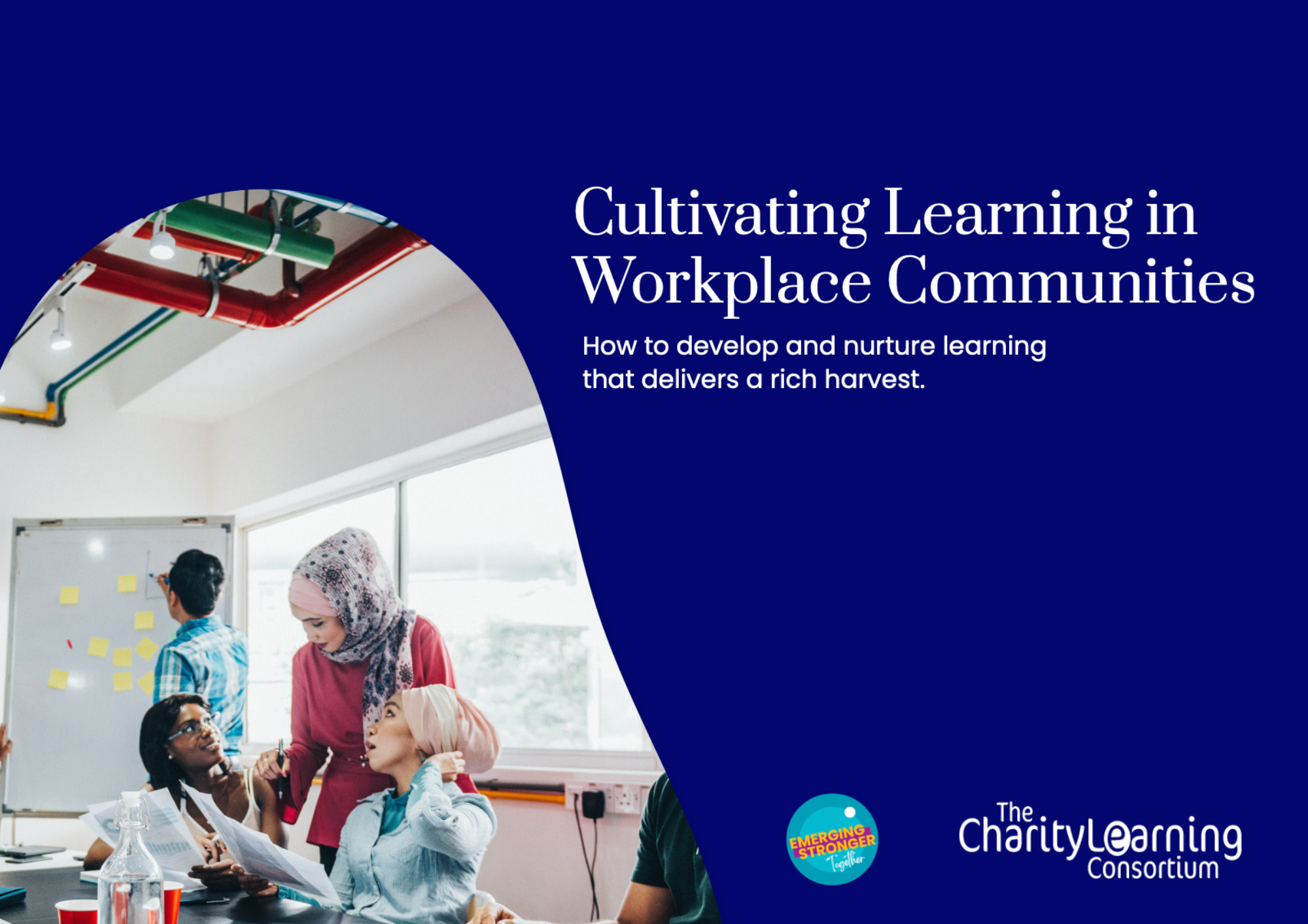 Cultivating Learning in Workplace Communities